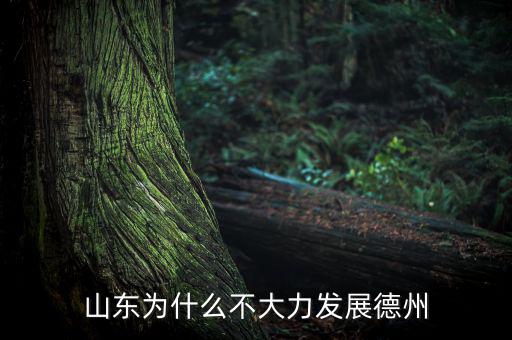 山東為什么不大力發展德州