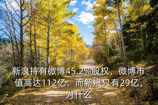 新浪和搜狐為什么市值,為什么大家現在很少瀏覽搜狐