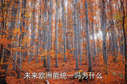 為什么歐洲要統一,為什么歐洲就是不能統一