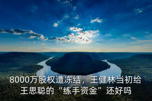 8000萬股權遭凍結，王健林當初給王思聰的“練手資金”還好嗎