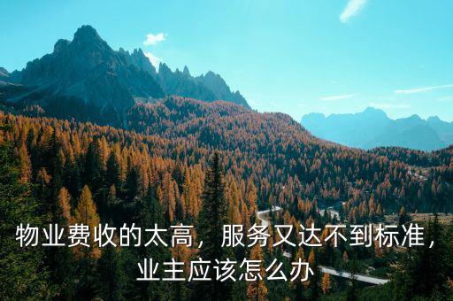 物業公司服務不達標怎么辦,業主應該怎么辦