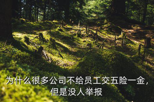 為什么很多公司不給員工交五險一金，但是沒人舉報