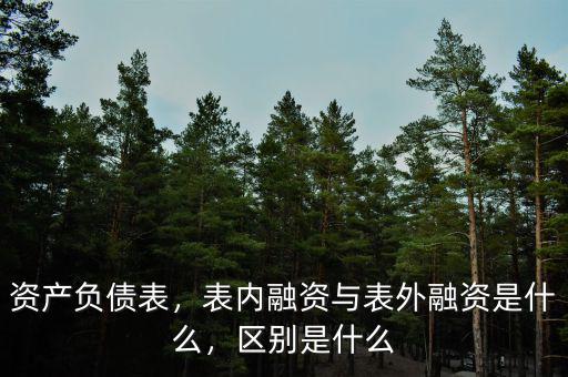 表內融資什么意思,表內融資與表外融資是什么