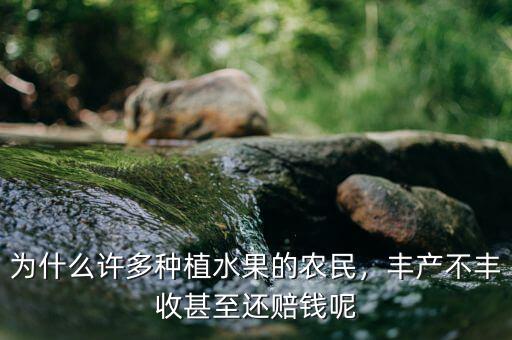 為什么許多種植水果的農民，豐產不豐收甚至還賠錢呢