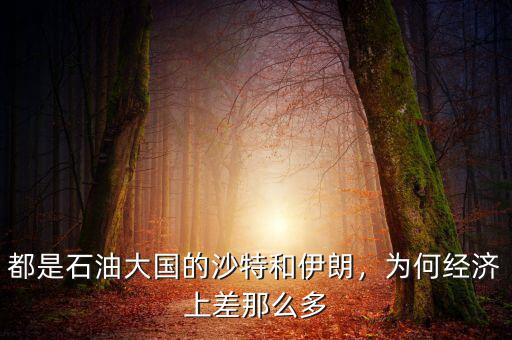 都是石油大國的沙特和伊朗，為何經濟上差那么多