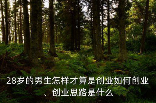 什么才算創業,28歲的男生怎樣才算是創業