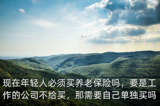 現(xiàn)在年輕人必須買養(yǎng)老保險(xiǎn)嗎，要是工作的公司不給買，那需要自己?jiǎn)为?dú)買嗎