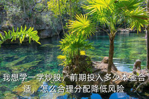 我想學(xué)一學(xué)炒股，前期投入多少本金合適，怎么合理分配降低風(fēng)險