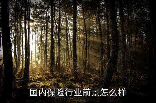 國內保險行業前景怎么樣