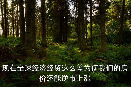 經濟這么差房價為什么還在上漲,為什么房價還在穩中有漲呢
