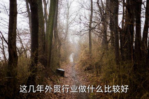 這幾年外貿行業做什么比較好