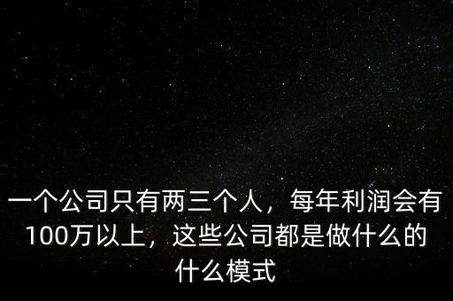 一個(gè)公司只有兩三個(gè)人，每年利潤會(huì)有100萬以上，這些公司都是做什么的什么模式
