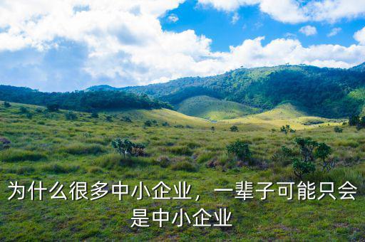 什么是中小企業,一輩子可能只會是中小企業