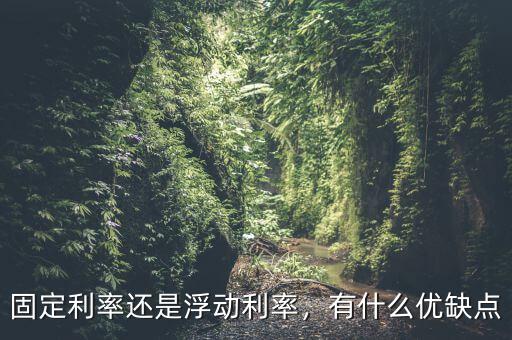 固定利率還是浮動利率，有什么優(yōu)缺點