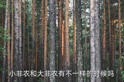 小非農和大非農有不一樣的時候嗎