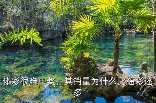 體彩很難中獎，其銷量為什么比福彩還多