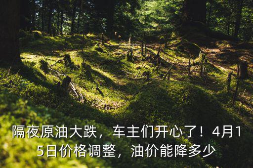 隔夜原油大跌，車主們開(kāi)心了！4月15日價(jià)格調(diào)整，油價(jià)能降多少