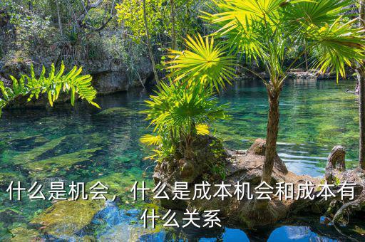 什么是機(jī)會(huì)，什么是成本機(jī)會(huì)和成本有什么關(guān)系