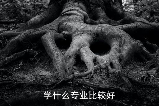 學什么專業好當官,學什么專業比較好