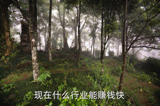 現在什么行業能賺錢快