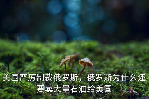 美國嚴厲制裁俄羅斯，俄羅斯為什么還要賣大量石油給美國