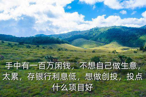 手中有一百萬閑錢，不想自己做生意，太累，存銀行利息低，想做創(chuàng)投，投點什么項目好