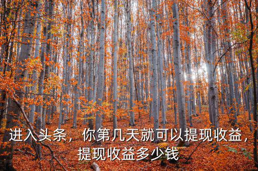 進入頭條，你第幾天就可以提現收益，提現收益多少錢