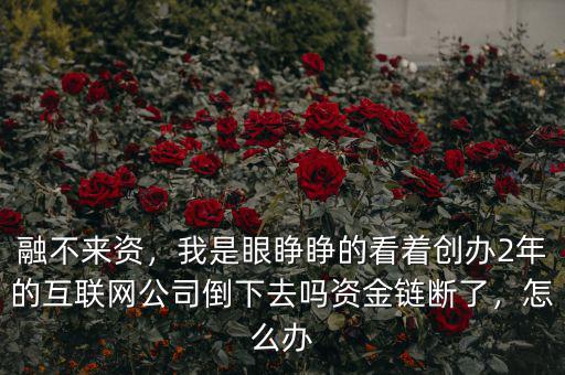 融不來(lái)資，我是眼睜睜的看著創(chuàng)辦2年的互聯(lián)網(wǎng)公司倒下去嗎資金鏈斷了，怎么辦