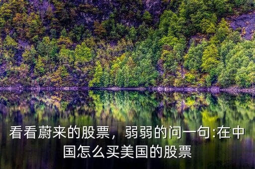 看看蔚來的股票，弱弱的問一句:在中國怎么買美國的股票