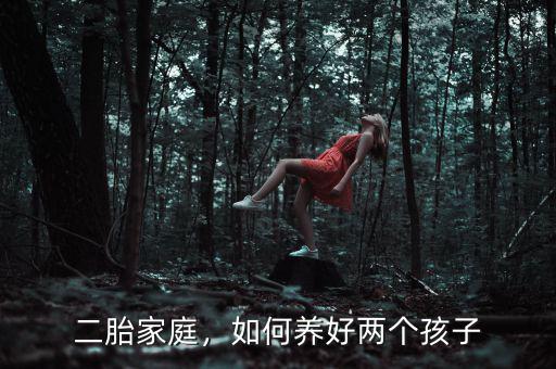 全面開放二胎兩個孩子怎么養,隨著二胎政策的開放