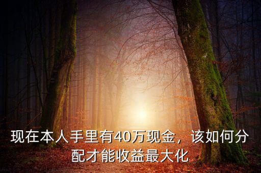 現在本人手里有40萬現金，該如何分配才能收益最大化