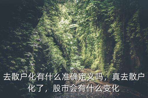 去散戶化有什么準(zhǔn)確定義嗎，真去散戶化了，股市會(huì)有什么變化