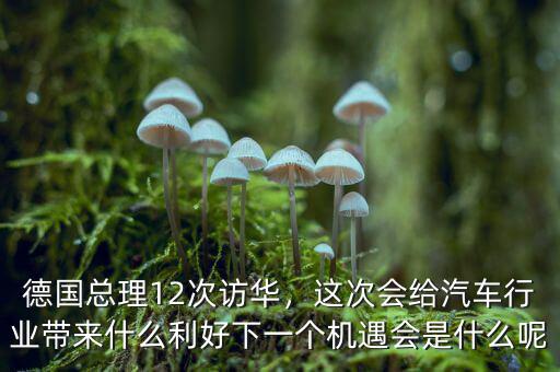 默克爾怎么會兩度訪華,默克爾要聯合訪華