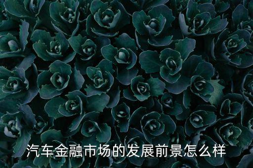 汽車金融市場的發展前景怎么樣