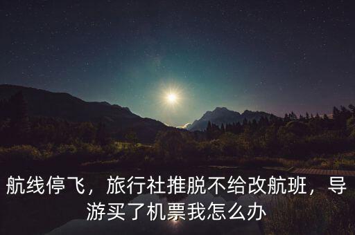 航線停飛，旅行社推脫不給改航班，導游買了機票我怎么辦