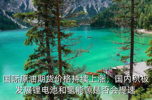 國際原油期貨價格持續上漲，國內積極發展鋰電池和氫能源是否會提速