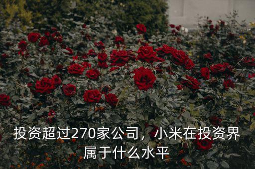 投資超過270家公司，小米在投資界屬于什么水平