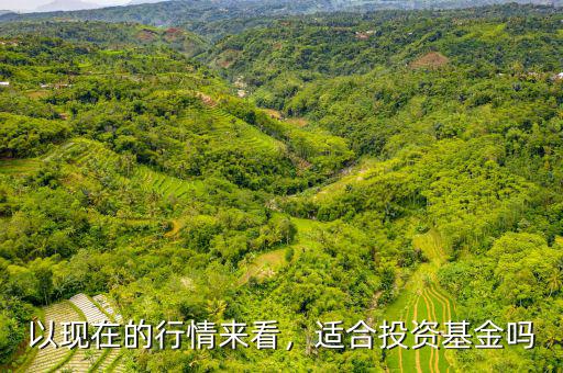 現在的基金行情怎么樣,基金的行情目前如何
