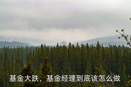 基金大跌，基金經理到底該怎么做