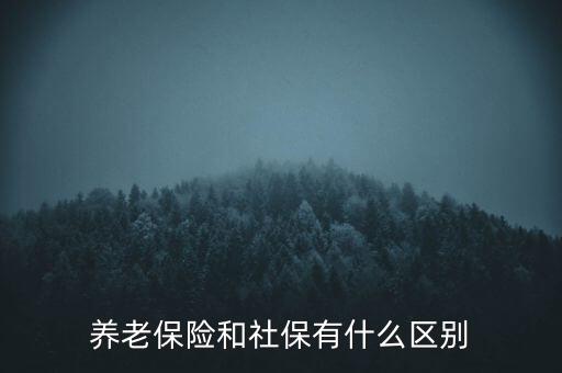 養老保險和社保有什么區別