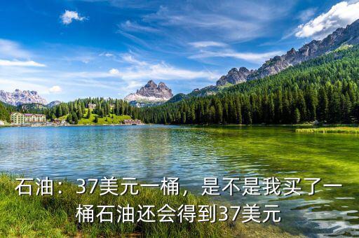 37美元的手續費是多少,37美元時的收益大概是多少