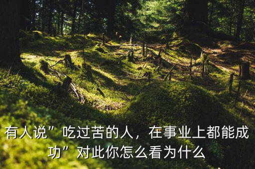 有人說”吃過苦的人，在事業上都能成功”對此你怎么看為什么