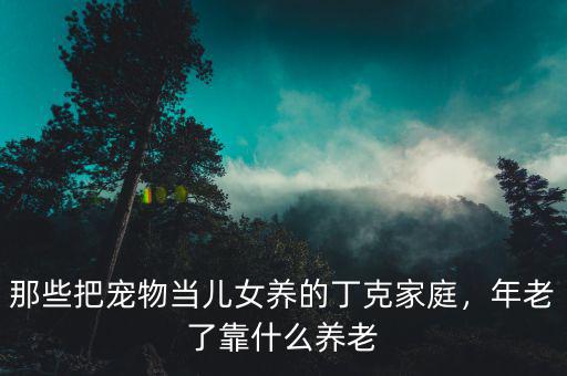 丁克家庭的養老方式是什么,失獨老人和丁克家庭怎樣養老