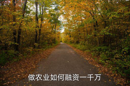 怎么融資一千萬,做農業如何融資一千萬