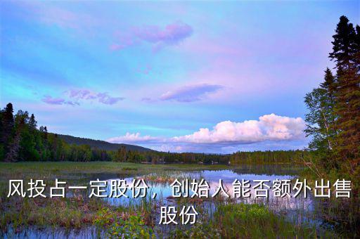 聯合創始人一般占多少股份,風投占一定股份