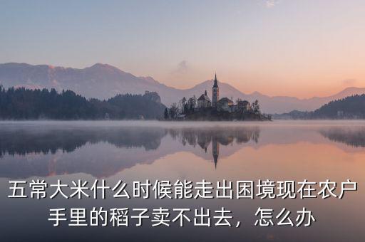 15年農戶糧食賣不出去怎么辦,現在農戶手里的稻子賣不出去