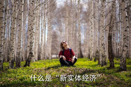 什么是“新實體經濟”