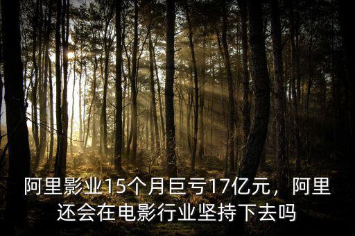 阿里影業15年盈利多少,阿里影業今年將如何動作