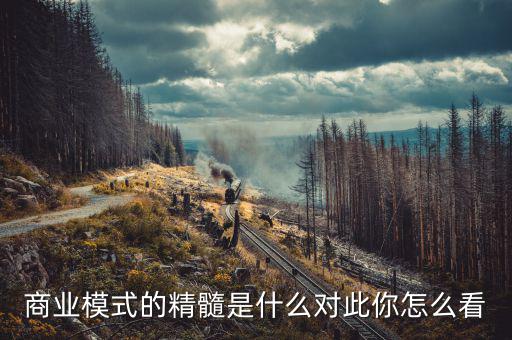 商業模式的精髓是什么對此你怎么看