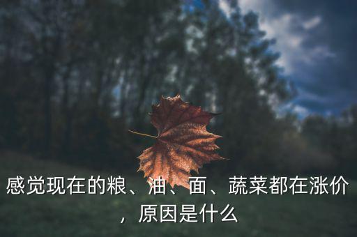 什么在漲價,為什么現在的房價還在漲價